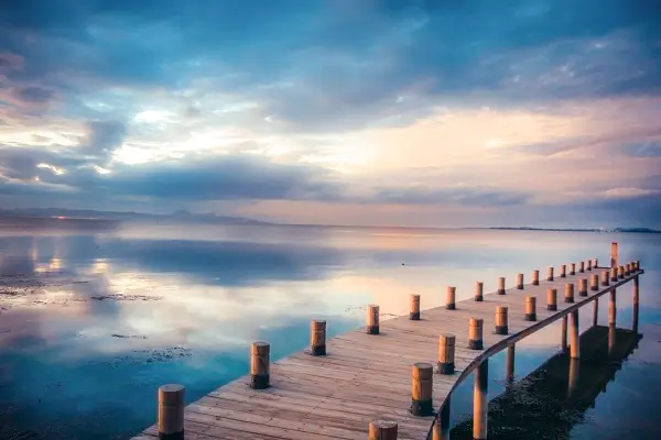 法律文号指什么