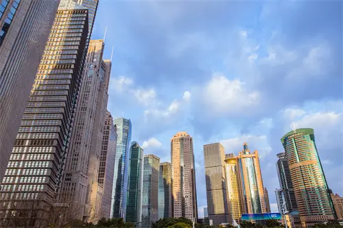 法律弹性什么专业