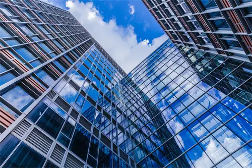 大象法律指什么